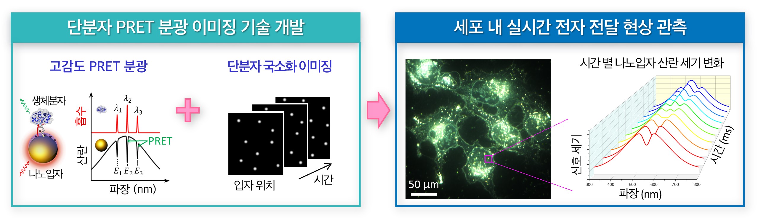 연구과제 이미지_김정민 교수.jpg