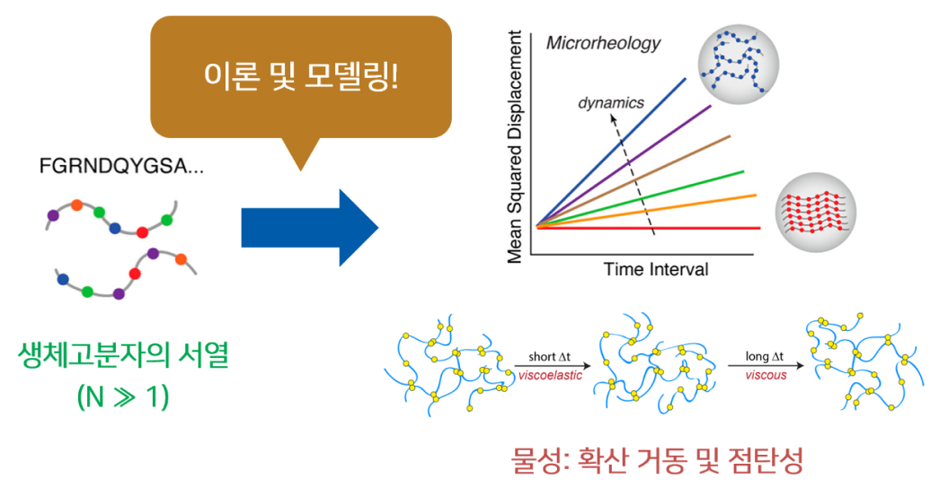 연구과제 이미지_최정모 교수.jpg