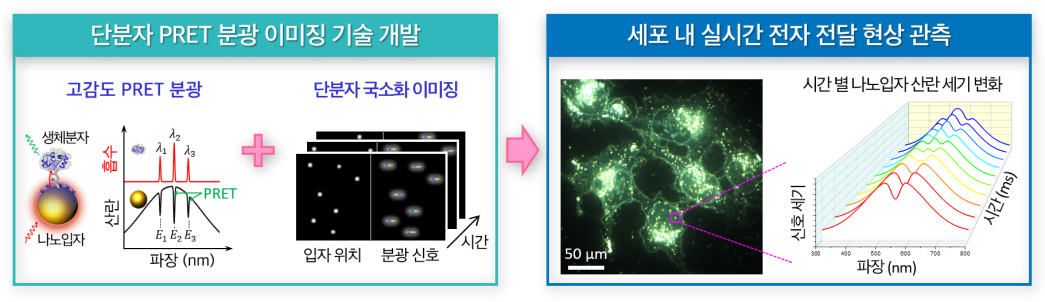 연구과제 이미지_서울대 김정민 교수.jpg