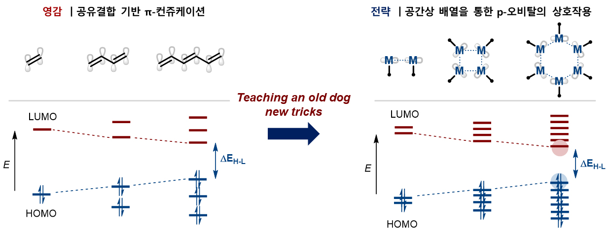 연구과제-이미지_기초_홍승윤교수.jpg